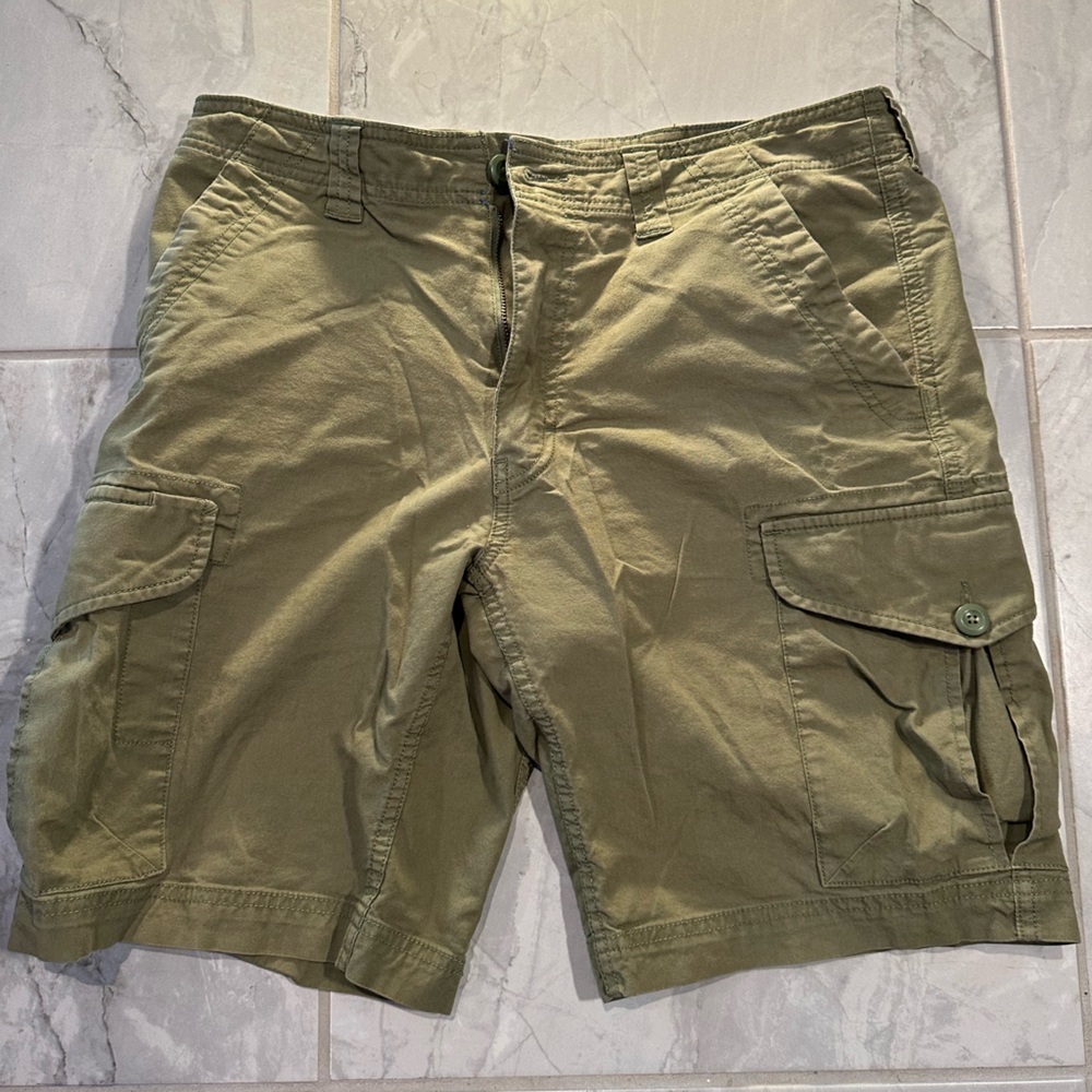 Patagonia organic cotton cargo hiking shorts 32 green